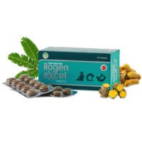 Ilogen Excel Tablets - Pankajakasthuri - 60Nos