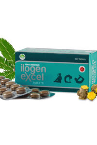 Ilogen Excel Tablets - Pankajakasthuri - 60Nos