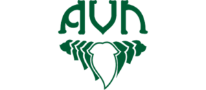 avn